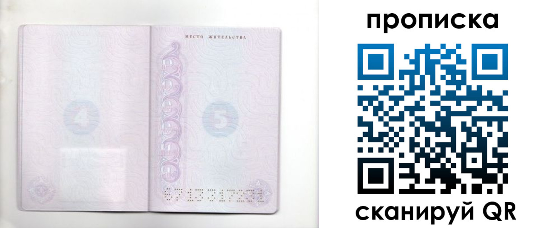 прописка регистрация в Краснодаре